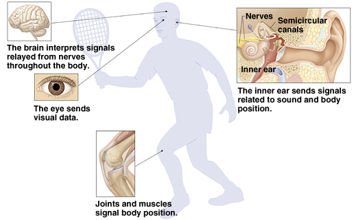 cervicogenic vertigo